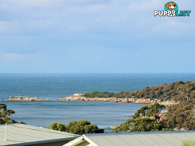 31 Felmingham Street BINALONG BAY TAS 7216