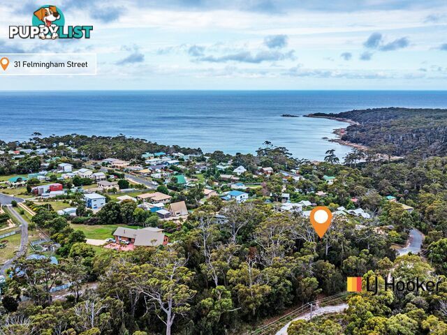 31 Felmingham Street BINALONG BAY TAS 7216