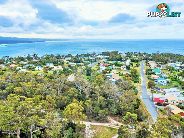 31 Felmingham Street BINALONG BAY TAS 7216