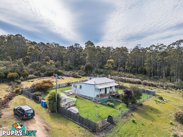 10 Edward Street CORNWALL TAS 7215