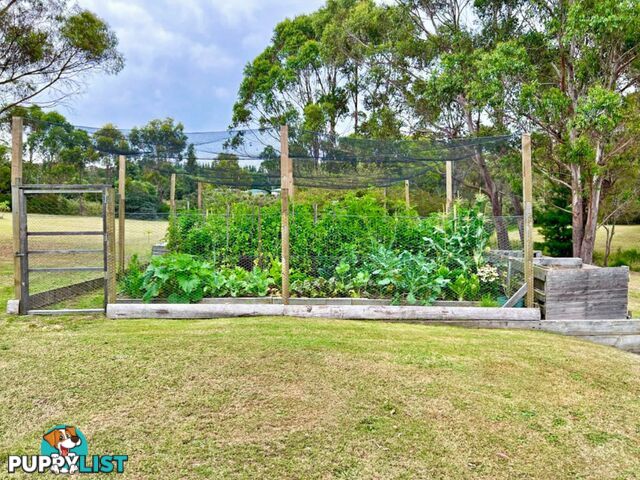 235 Ansons Bay Road ST HELENS TAS 7216