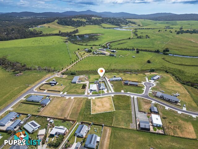 10 Annabel Drive ST HELENS TAS 7216