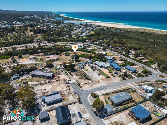 10 Malibu Street SCAMANDER TAS 7215