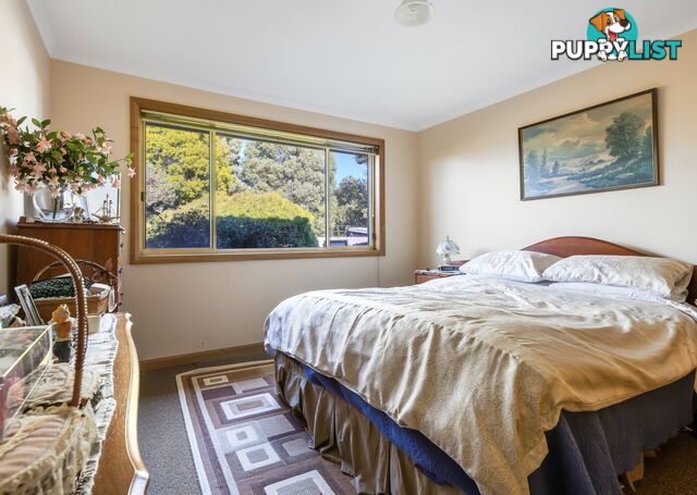 Unit 2/2 Heather Place ST HELENS TAS 7216