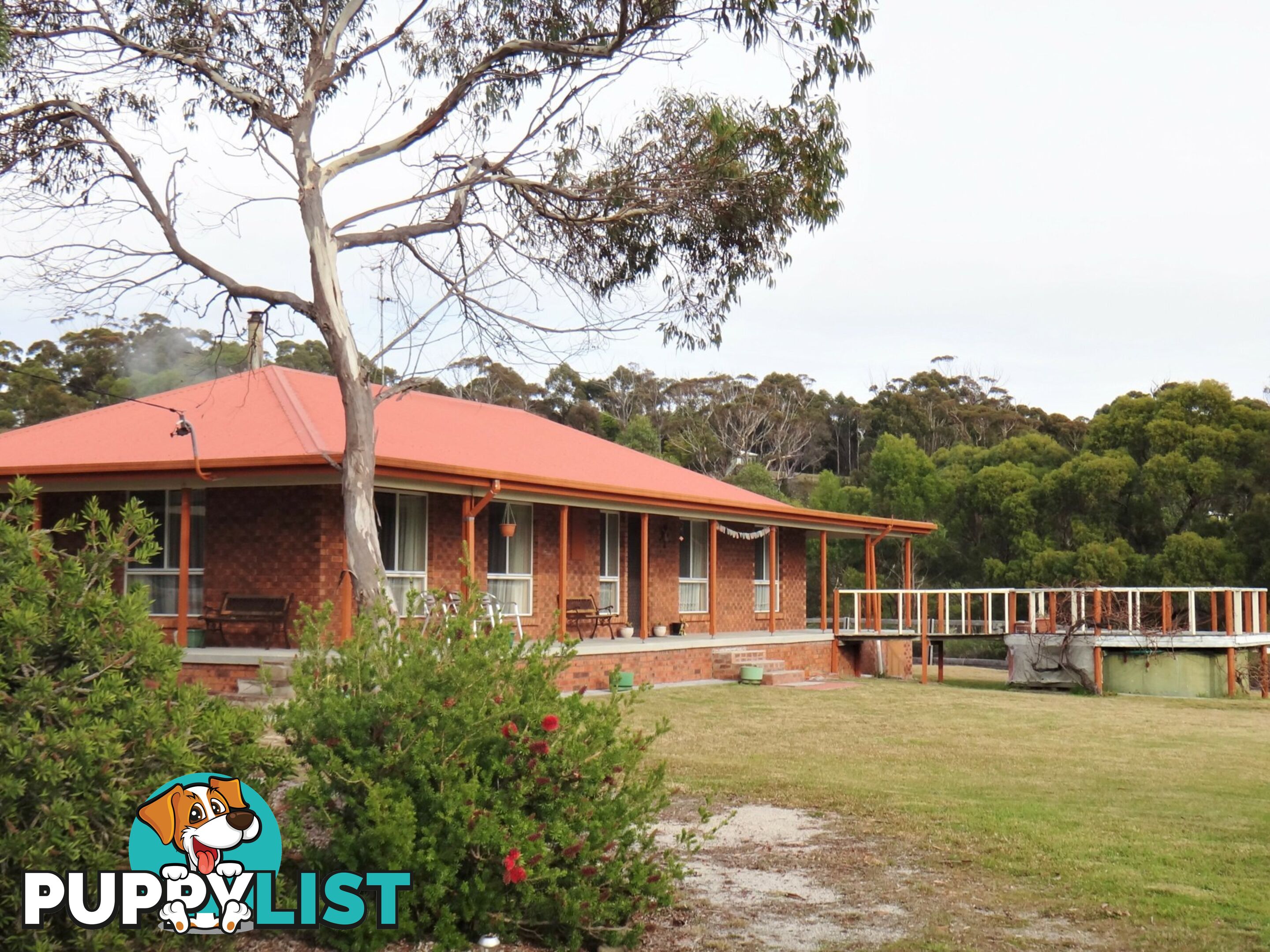 10 Cray Court BINALONG BAY TAS 7216