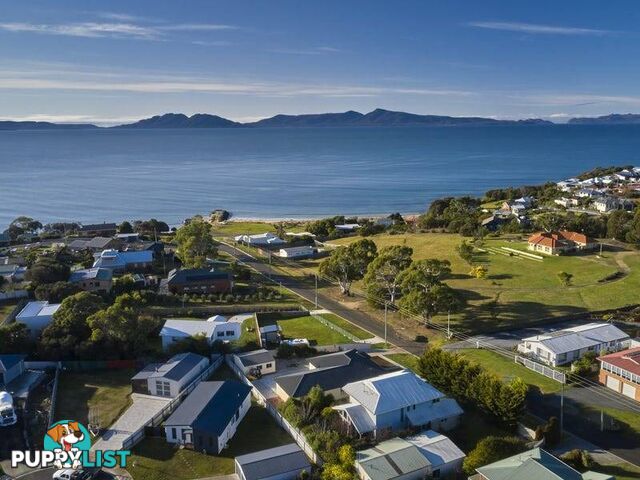 35 Gordon Street SWANSEA TAS 7190