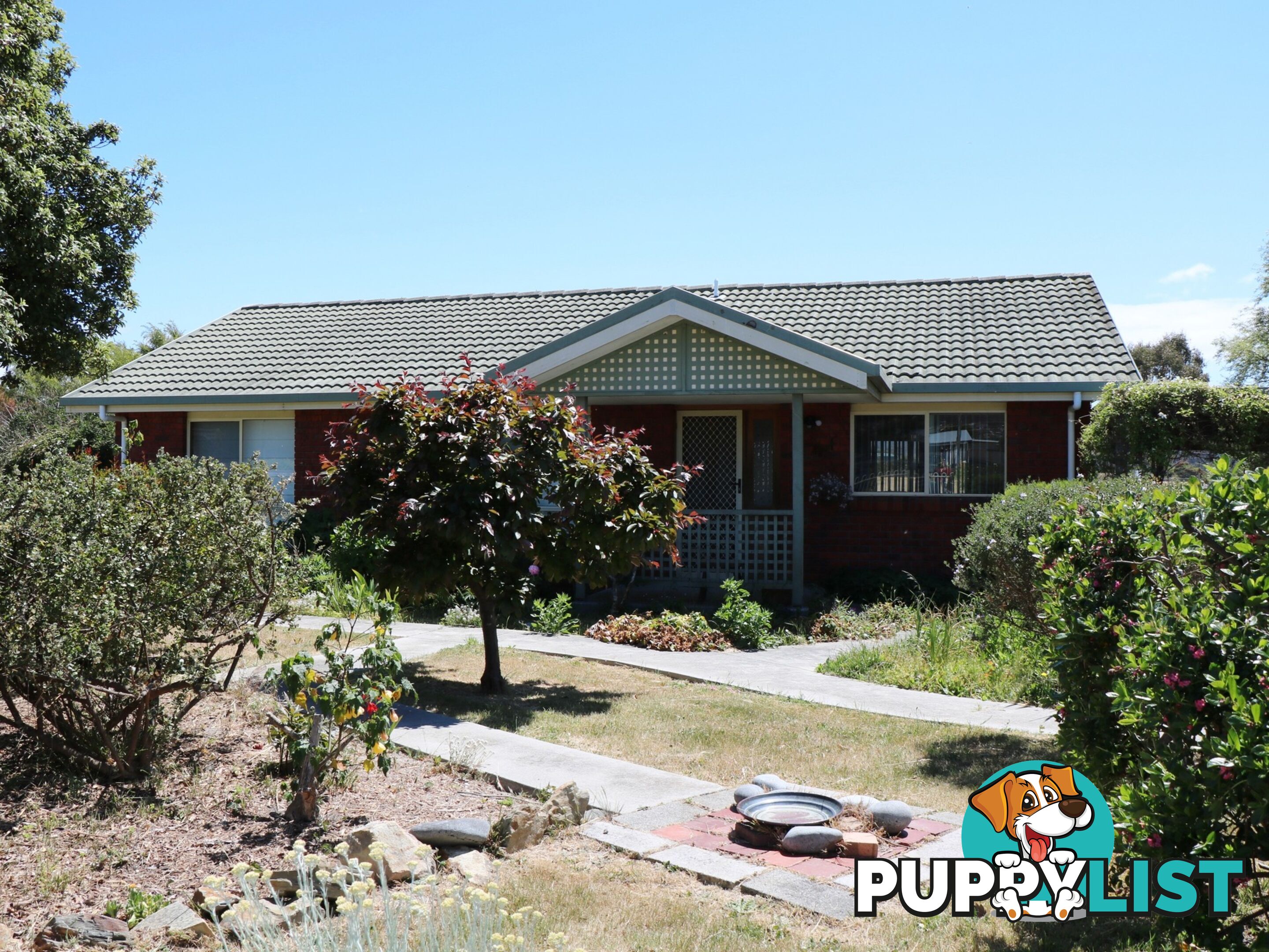 12 Lindsay Parade ST HELENS TAS 7216