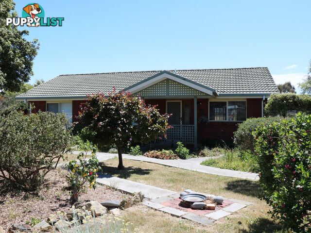 12 Lindsay Parade ST HELENS TAS 7216