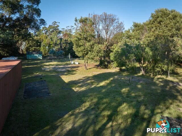 23170 Tasman Highway SCAMANDER TAS 7215