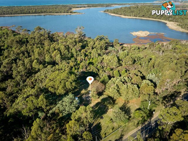 23170 Tasman Highway SCAMANDER TAS 7215