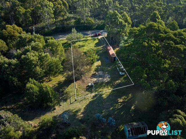 23170 Tasman Highway SCAMANDER TAS 7215