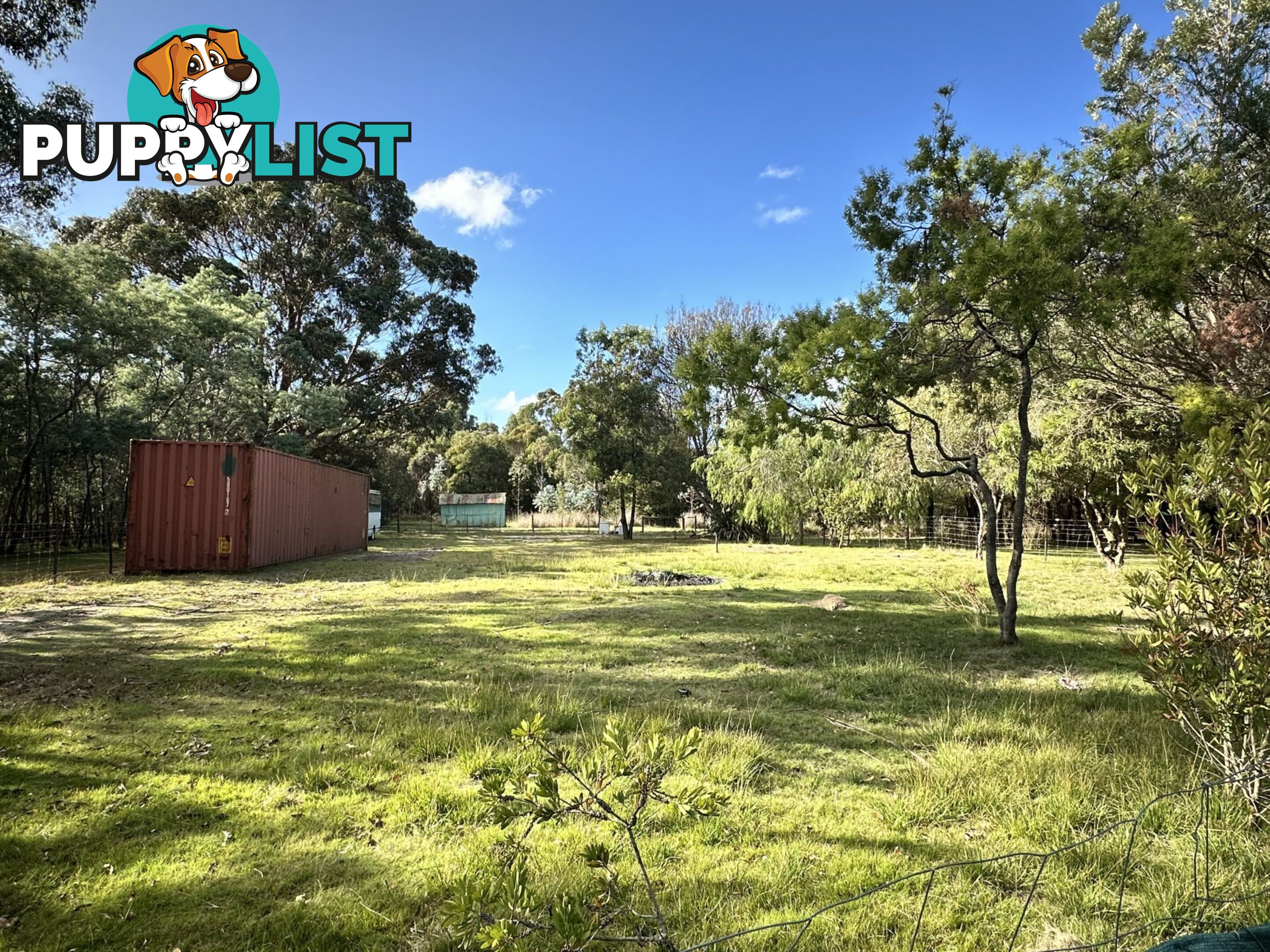 23170 Tasman Highway SCAMANDER TAS 7215