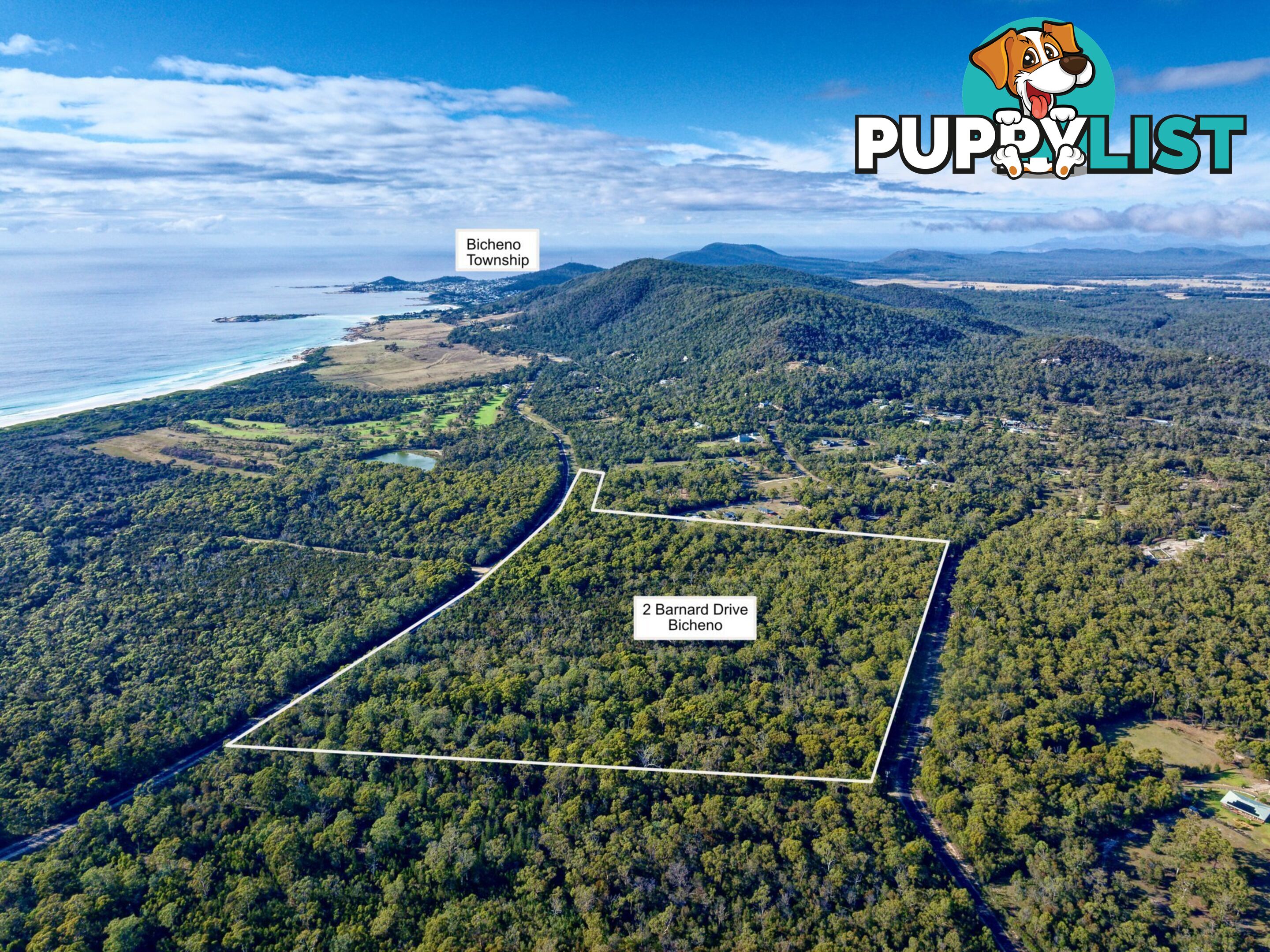 2 Barnard Drive BICHENO TAS 7215