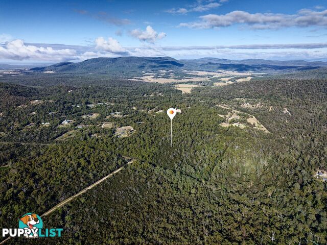 2 Barnard Drive BICHENO TAS 7215