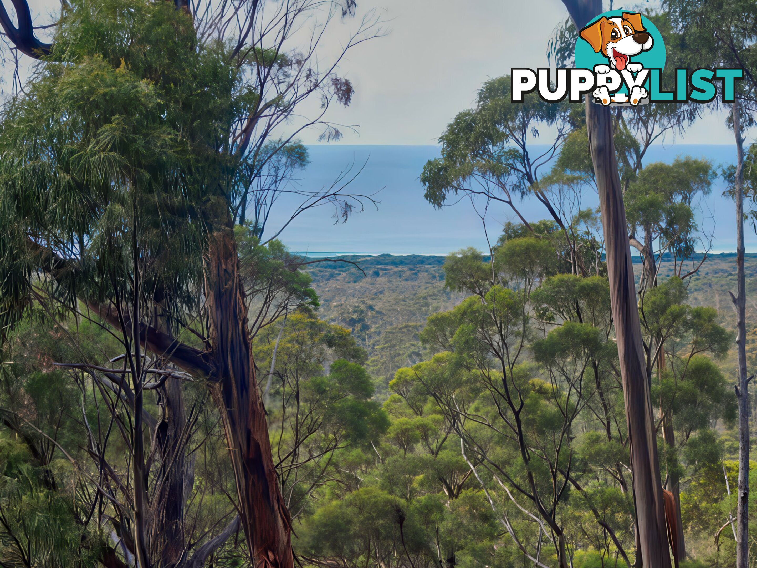 2 Barnard Drive BICHENO TAS 7215