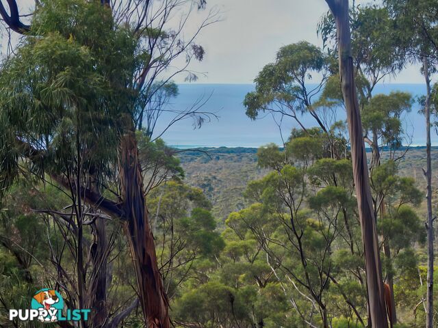2 Barnard Drive BICHENO TAS 7215