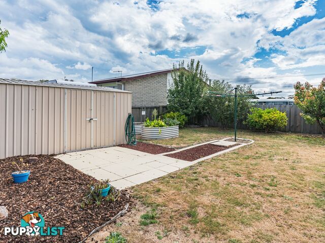 51 Quail Street ST HELENS TAS 7216