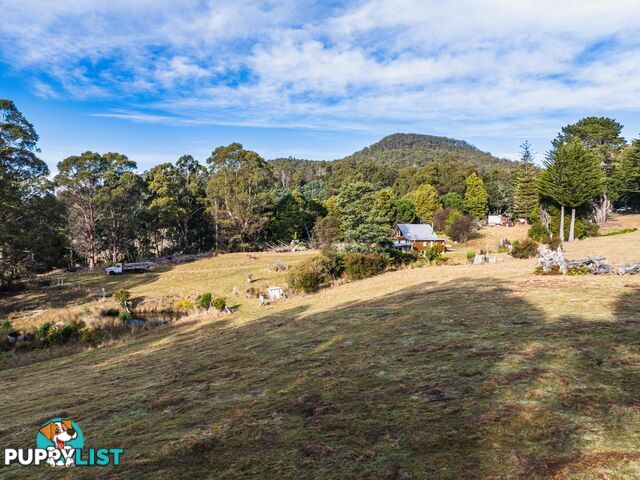 512 Irish Town Road ST MARYS TAS 7215