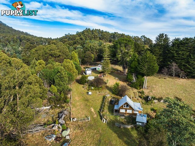 512 Irish Town Road ST MARYS TAS 7215