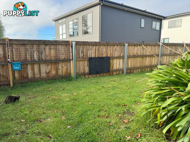 5A Halcyon Grove ST HELENS TAS 7216