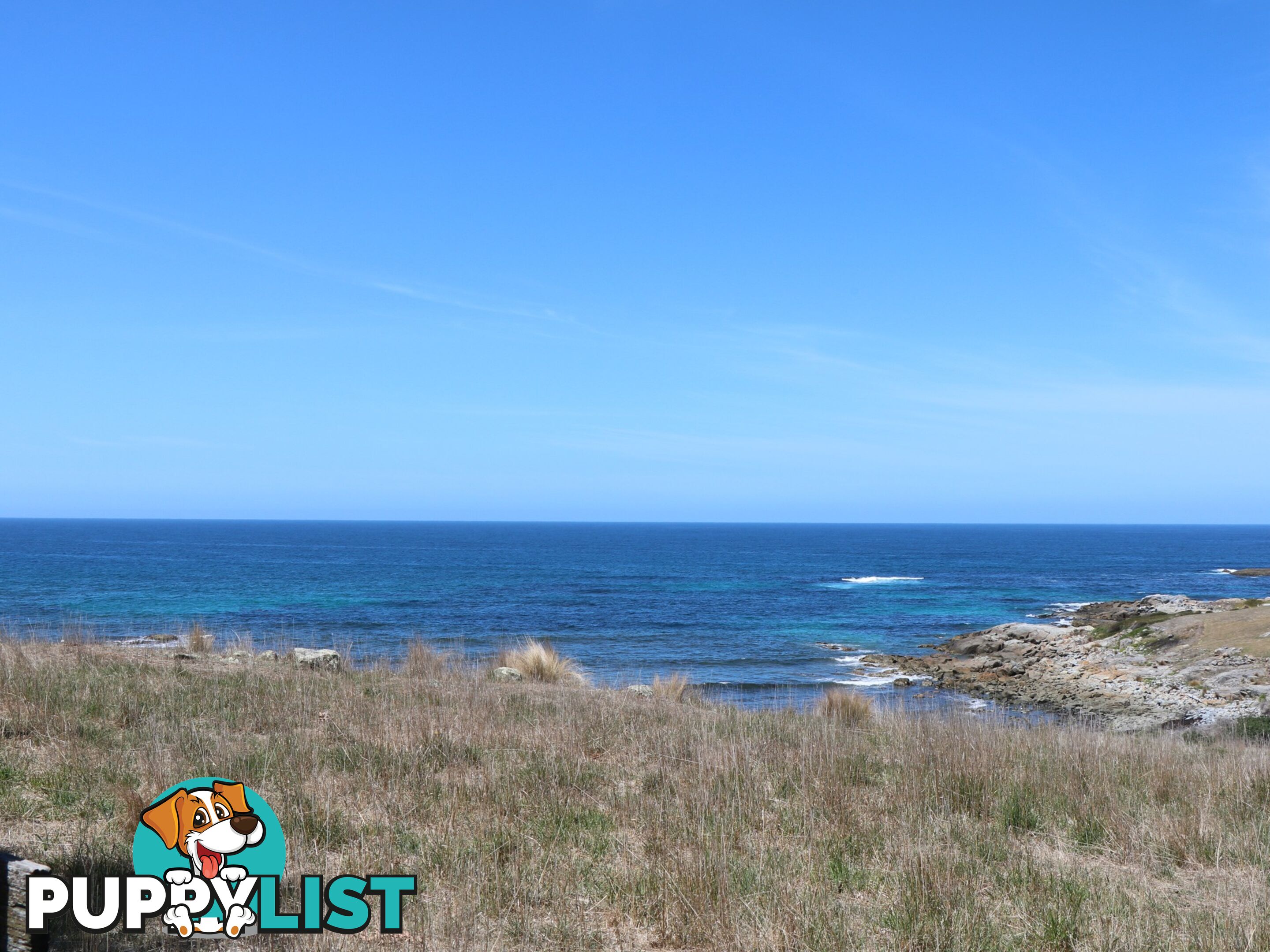 22354 Tasman Highway FALMOUTH TAS 7215