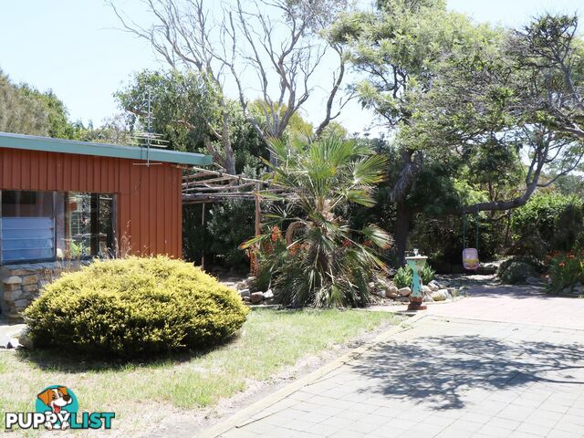 22354 Tasman Highway FALMOUTH TAS 7215