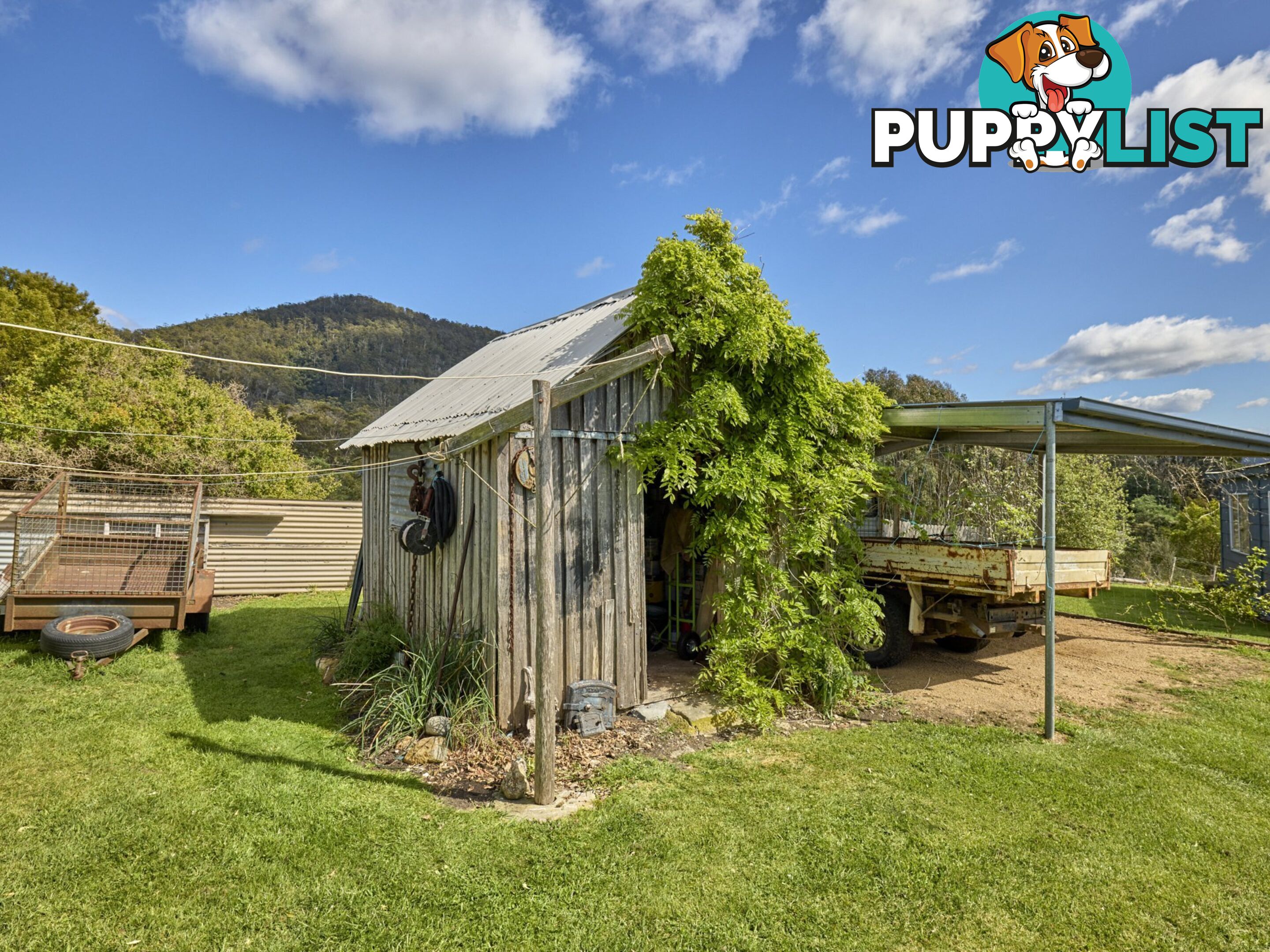 9 Champ Street SEYMOUR TAS 7215