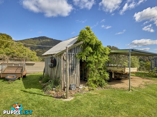 9 Champ Street SEYMOUR TAS 7215