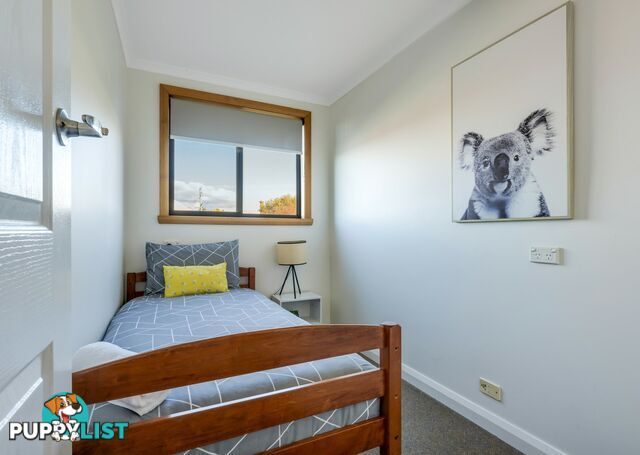 124 Scamander Avenue SCAMANDER TAS 7215