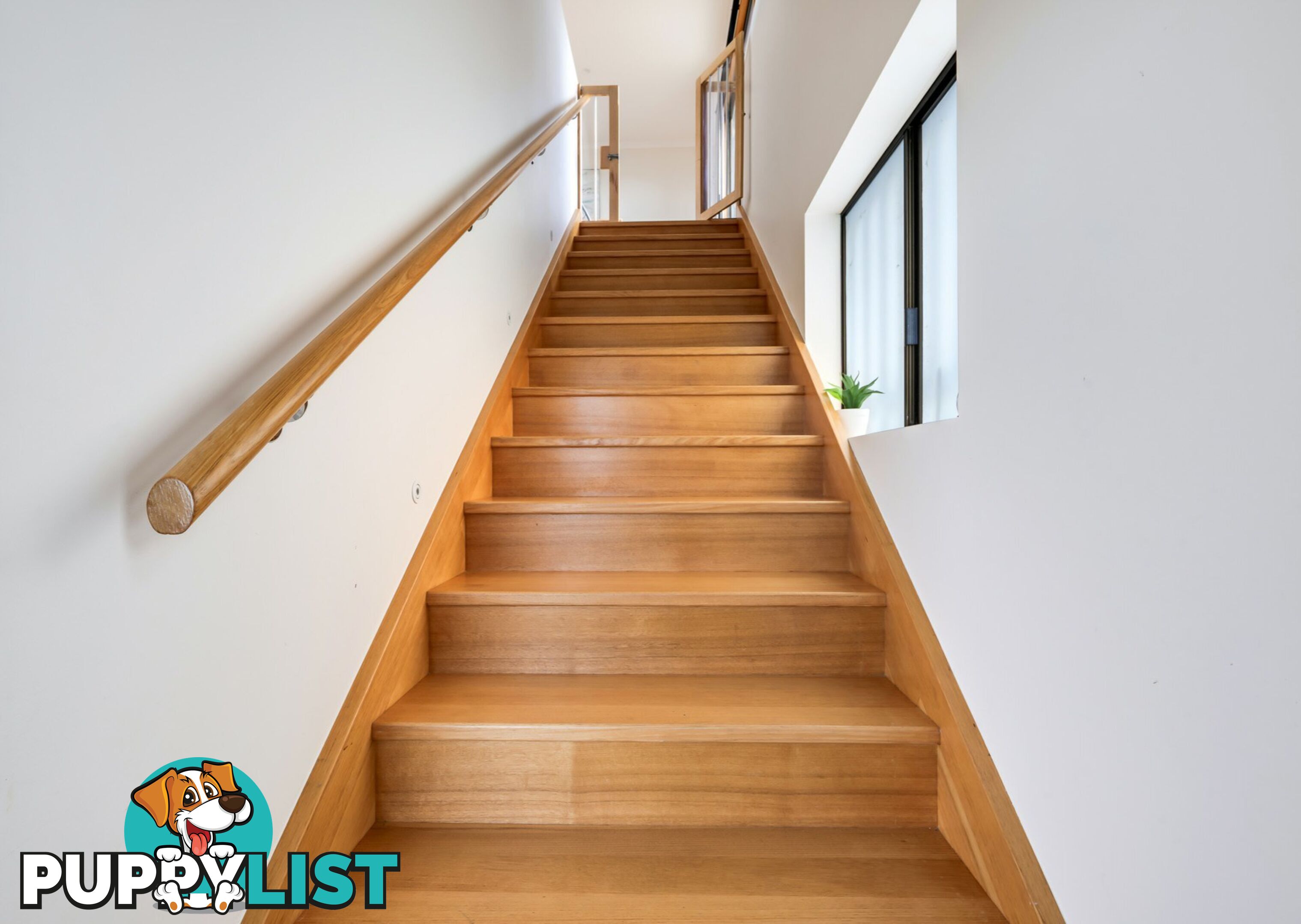 124 Scamander Avenue SCAMANDER TAS 7215