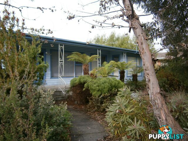 12 Medea Street ST HELENS TAS 7216