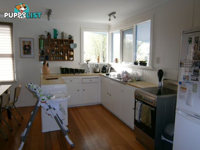 12 Medea Street ST HELENS TAS 7216