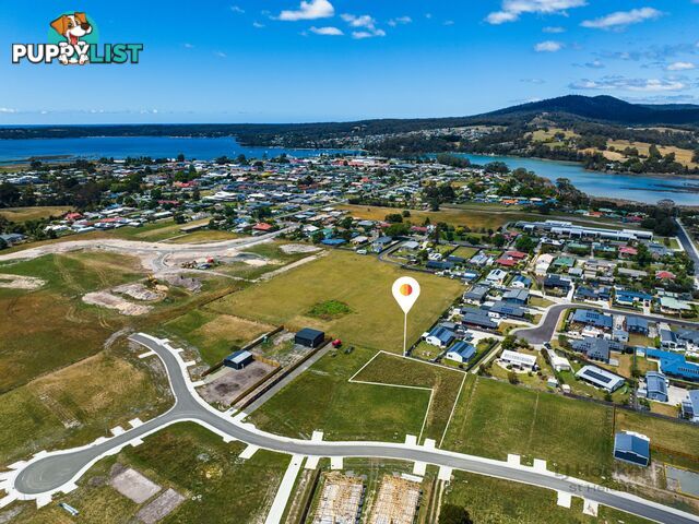 8 Annabel Drive ST HELENS TAS 7216