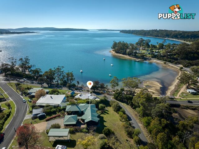 5 Perseus Street ST HELENS TAS 7216