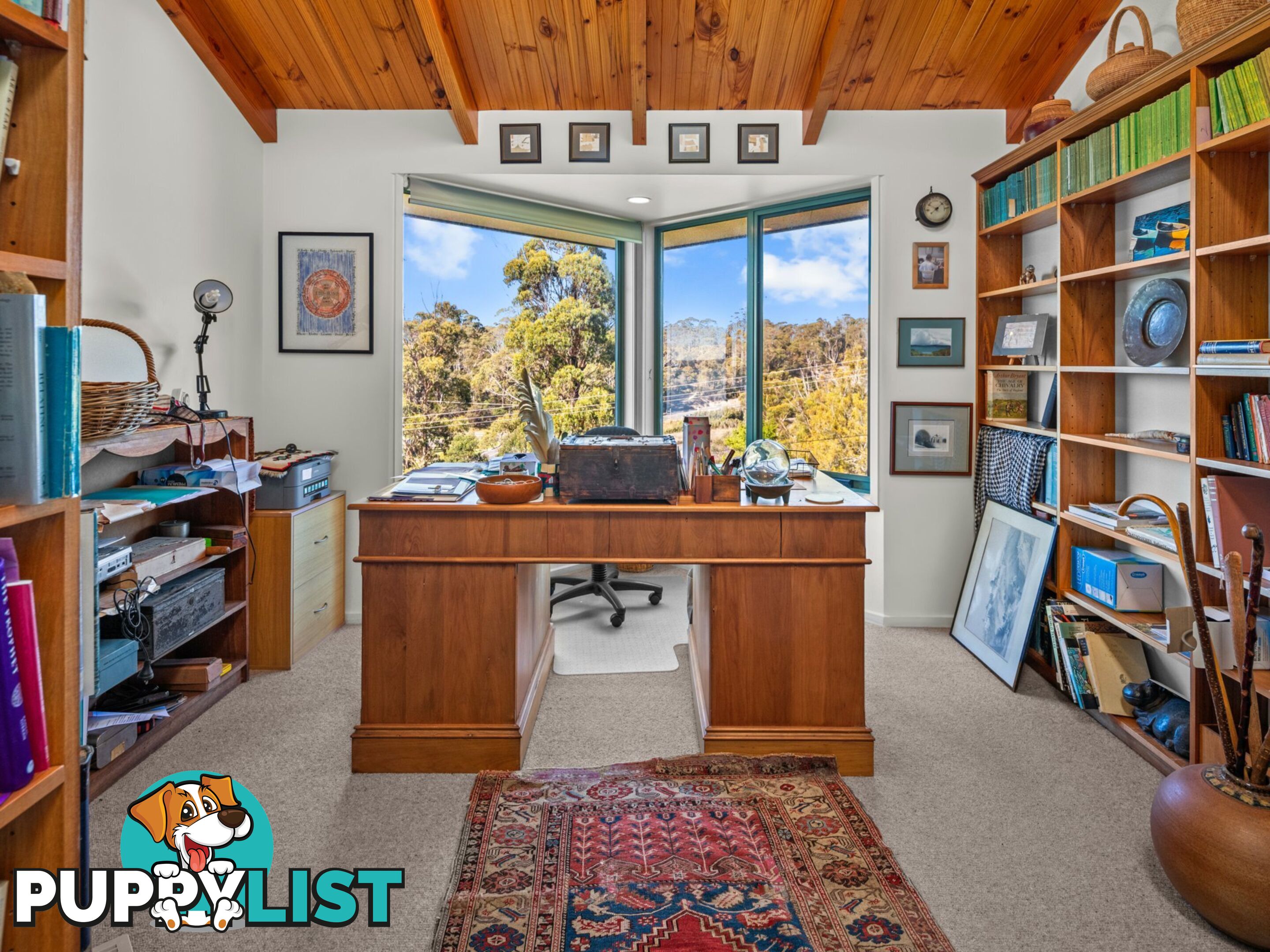 5 Perseus Street ST HELENS TAS 7216