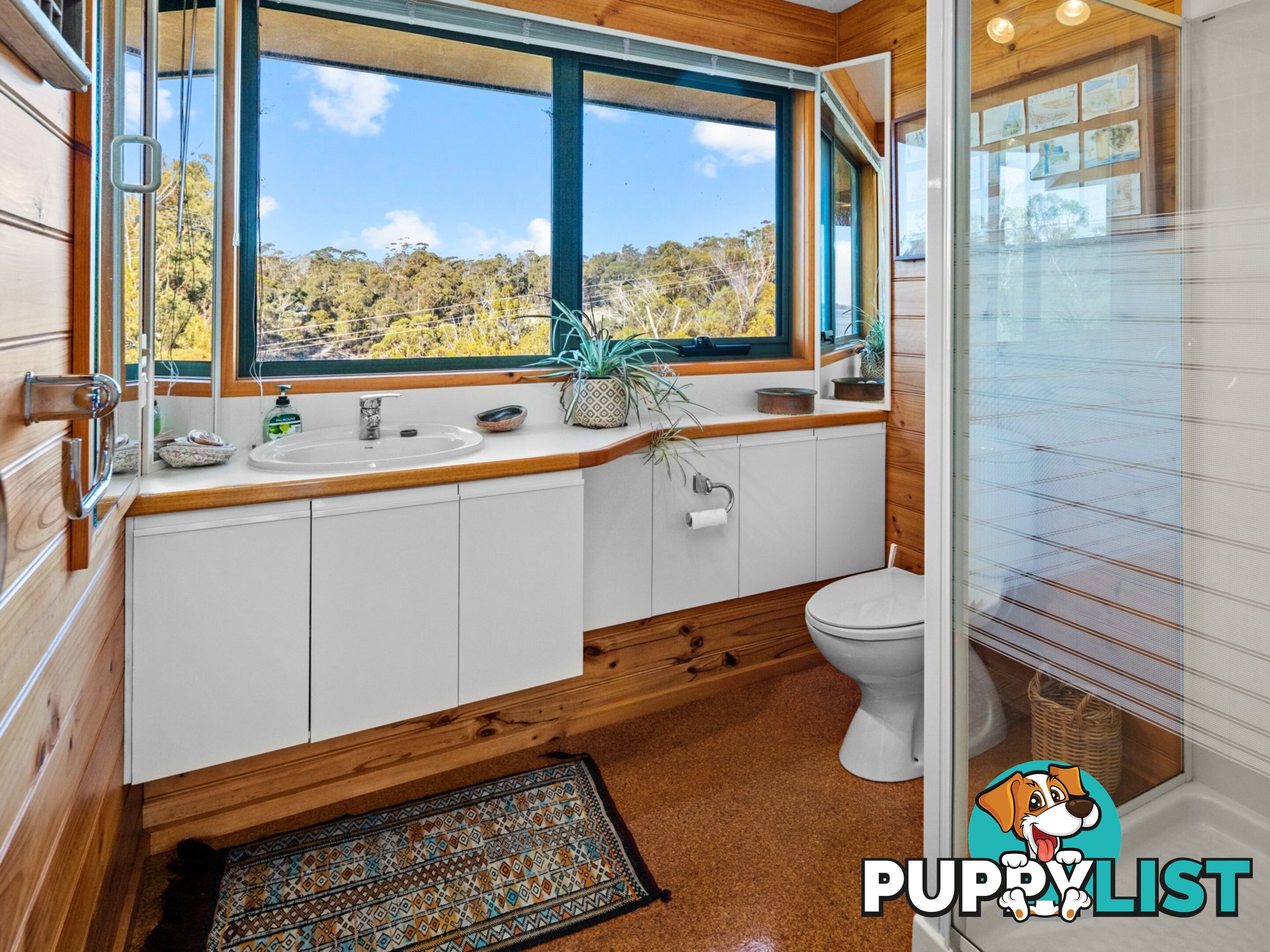5 Perseus Street ST HELENS TAS 7216