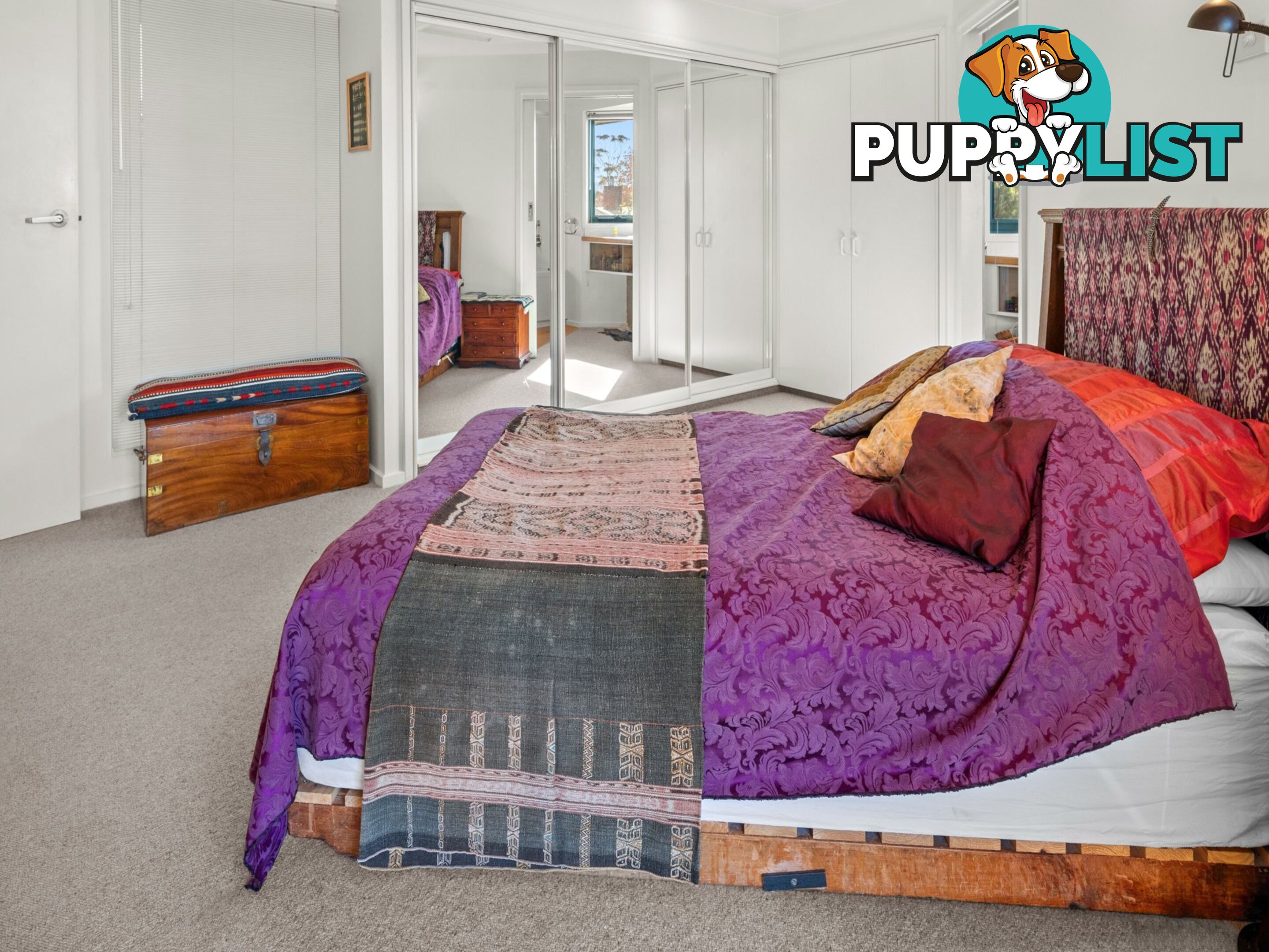 5 Perseus Street ST HELENS TAS 7216