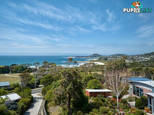 152 Tasman Highway BICHENO TAS 7215