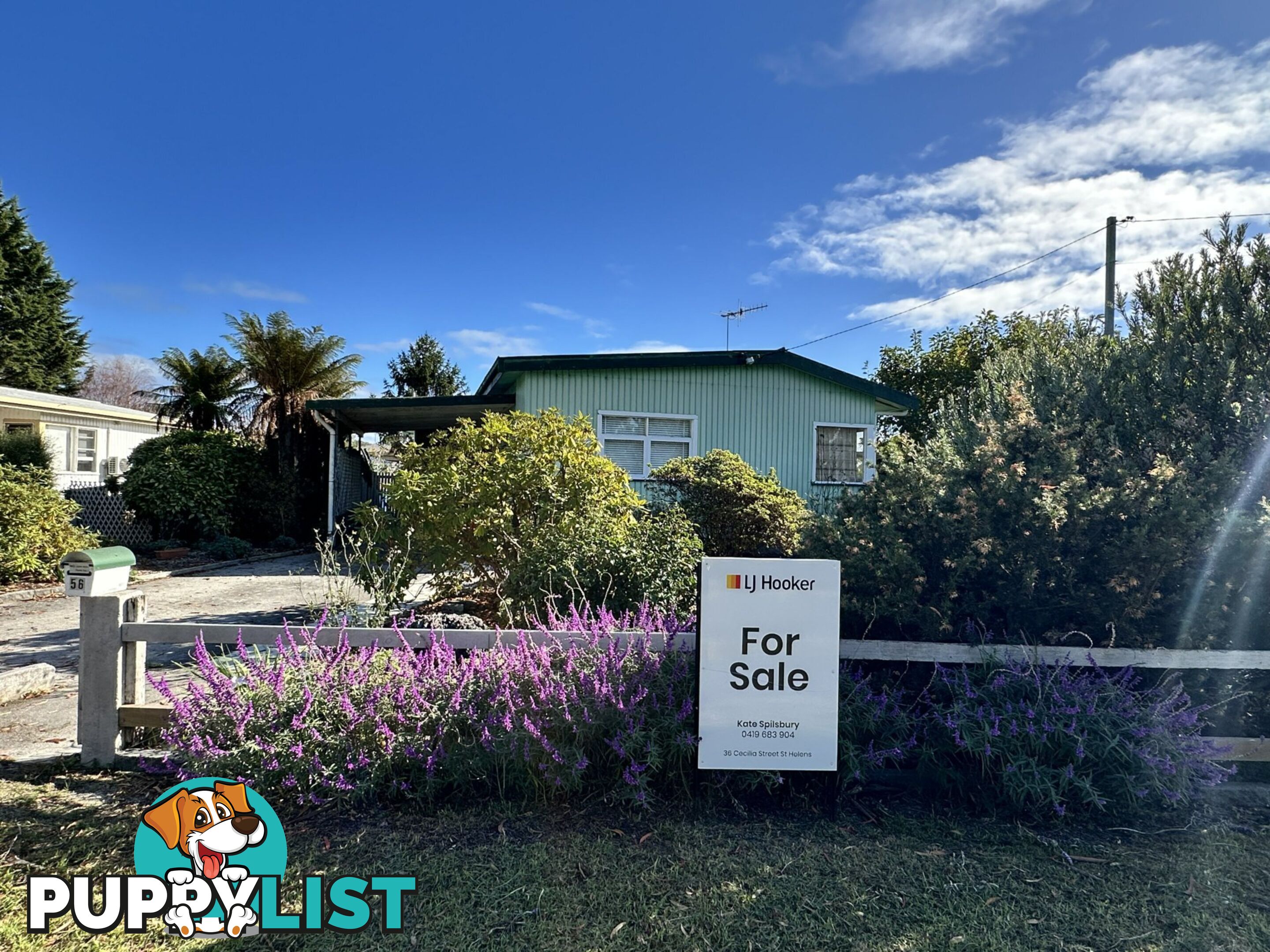 56 Medeas Cove Esplanade ST HELENS TAS 7216