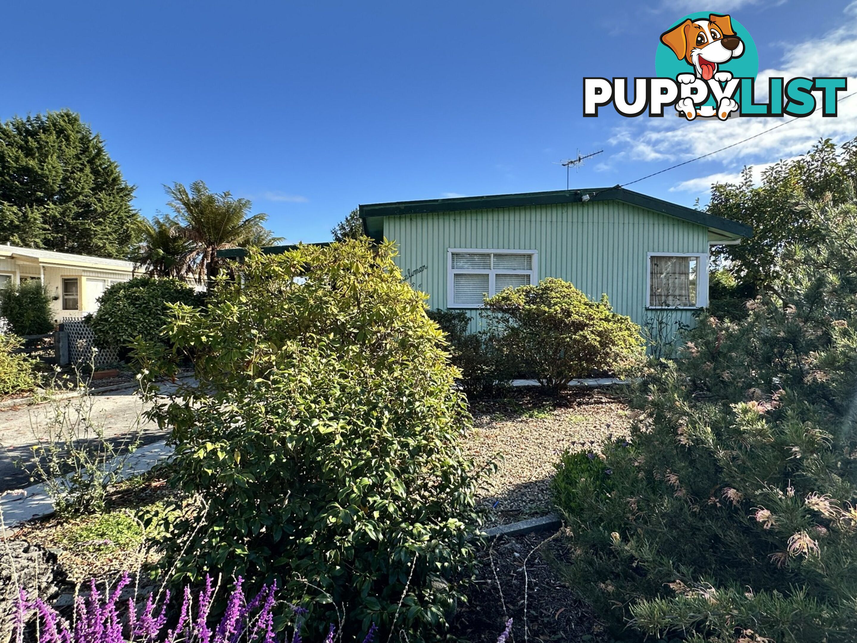 56 Medeas Cove Esplanade ST HELENS TAS 7216