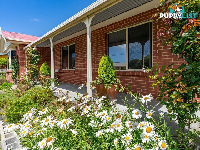 37 Tully Street ST HELENS TAS 7216