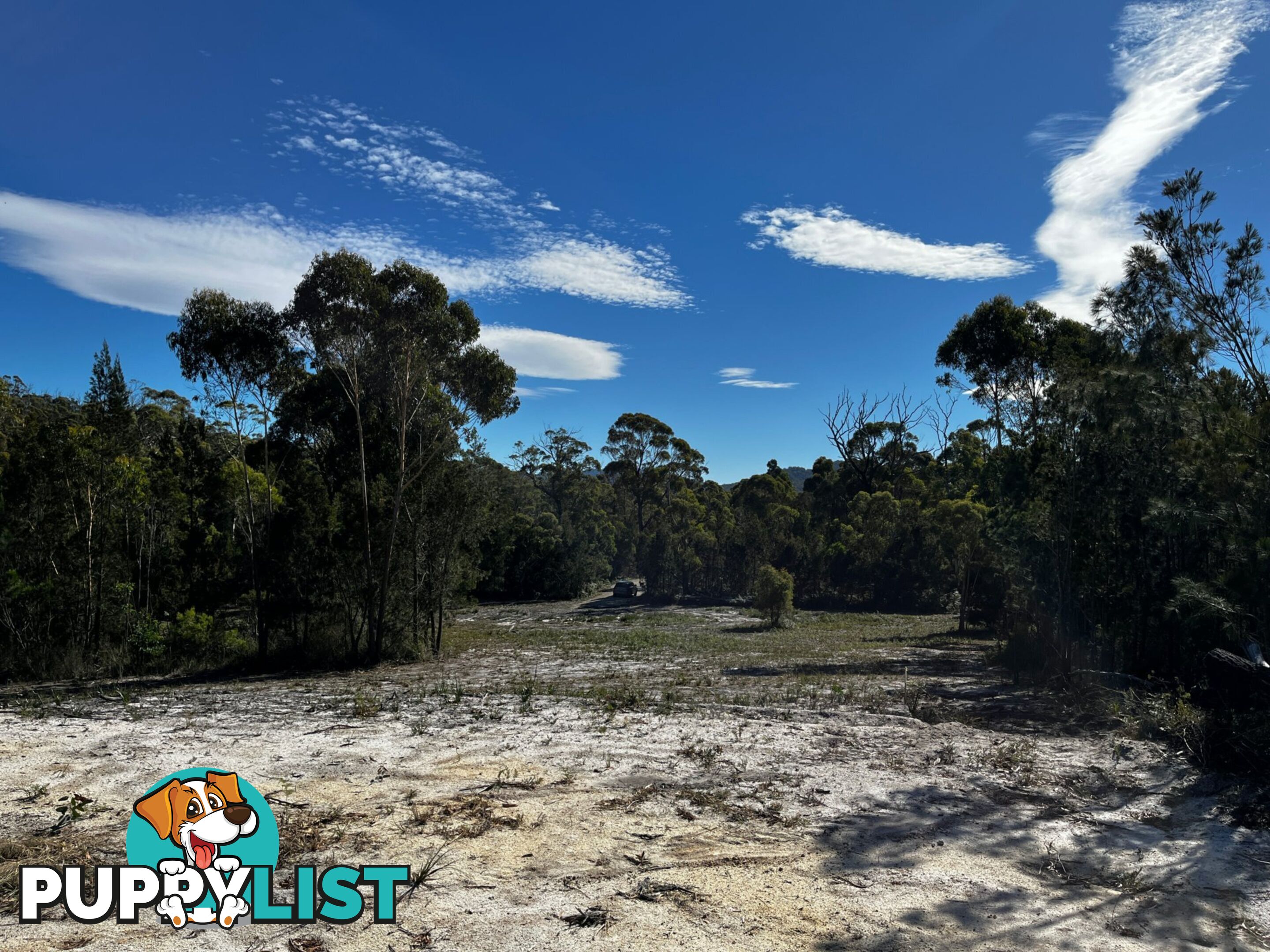 33 Upper Scamander Road SCAMANDER TAS 7215