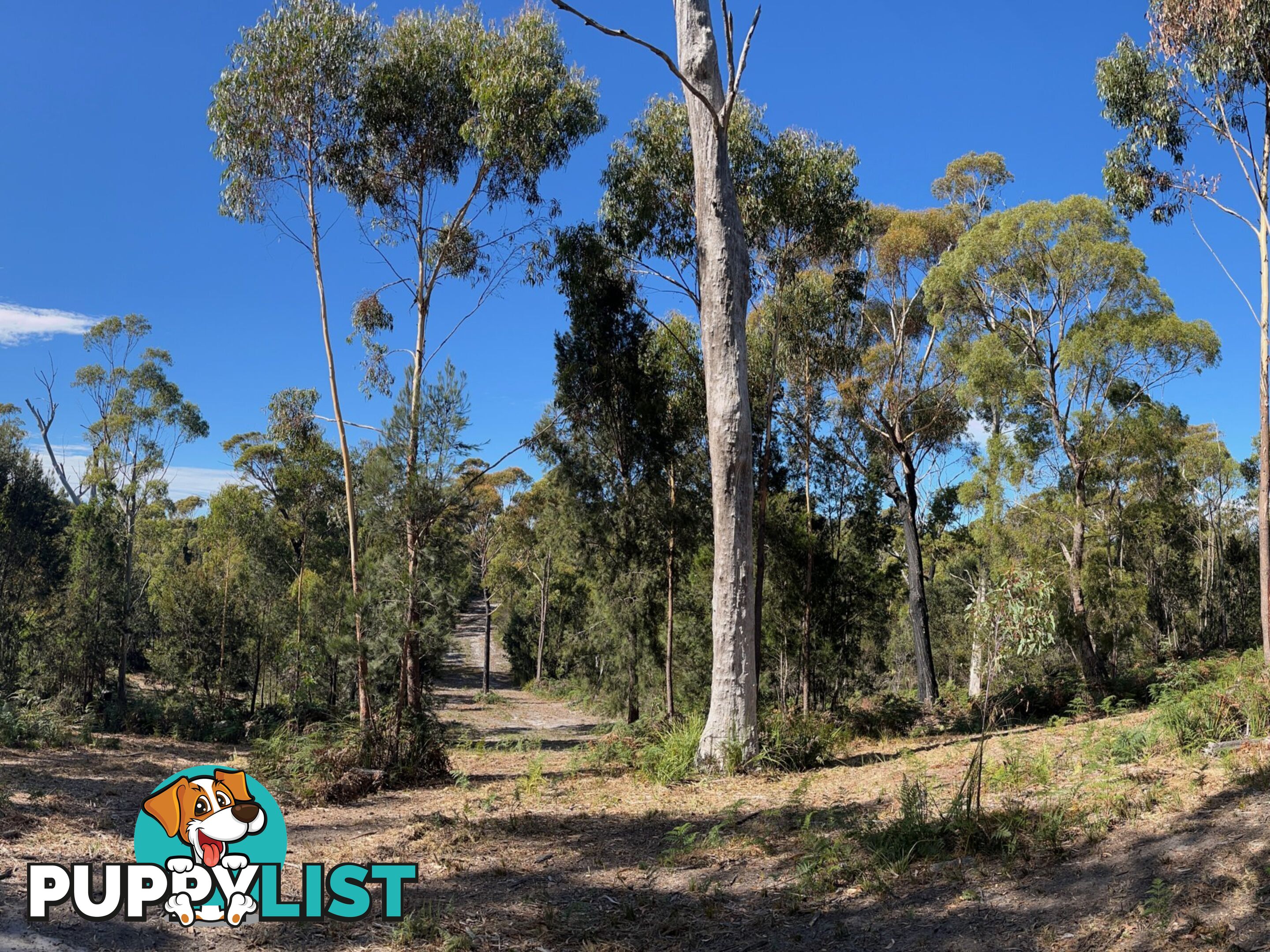 33 Upper Scamander Road SCAMANDER TAS 7215