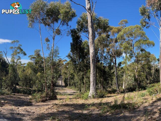 33 Upper Scamander Road SCAMANDER TAS 7215