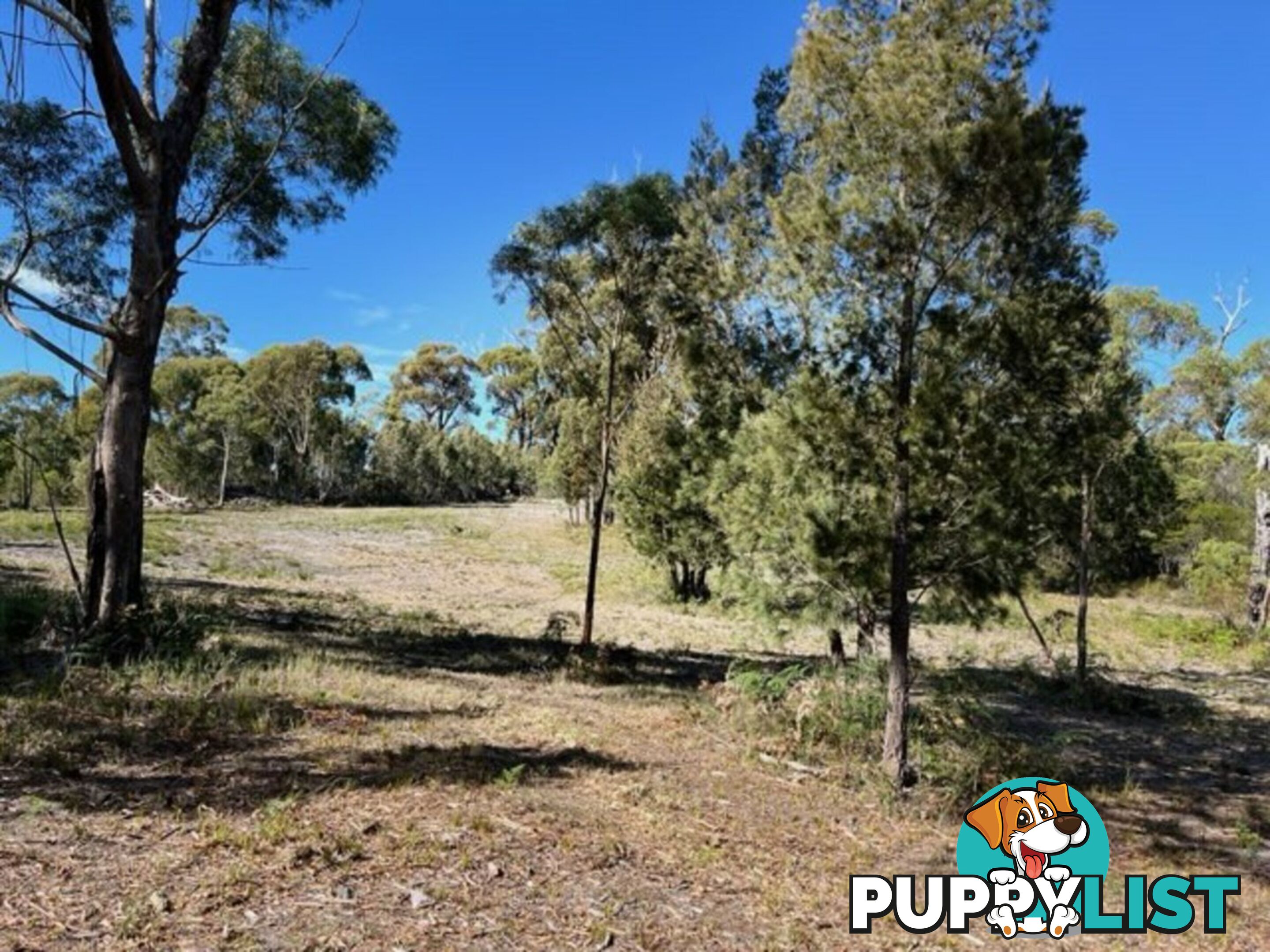33 Upper Scamander Road SCAMANDER TAS 7215