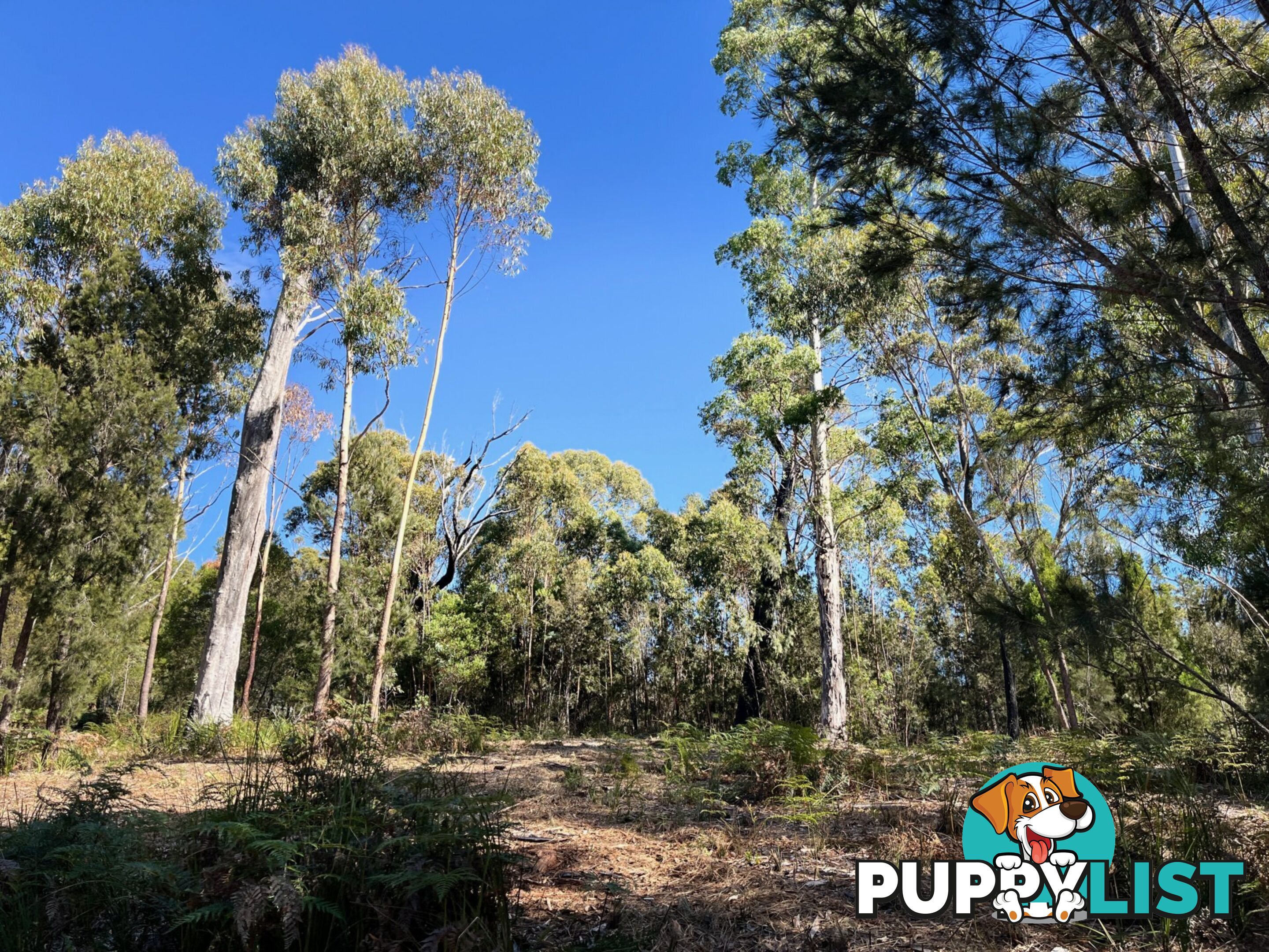 33 Upper Scamander Road SCAMANDER TAS 7215