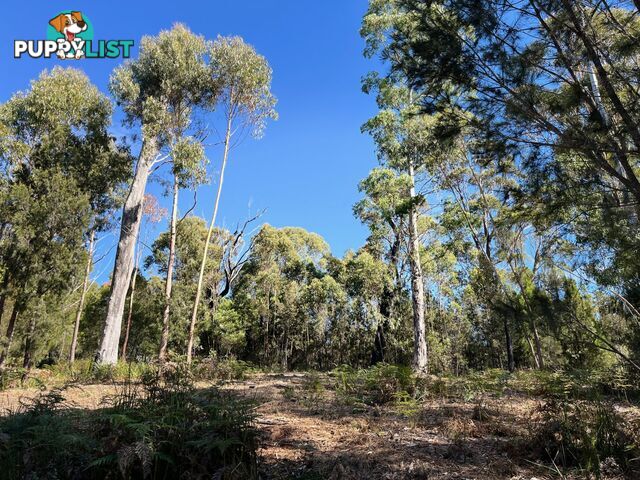 33 Upper Scamander Road SCAMANDER TAS 7215