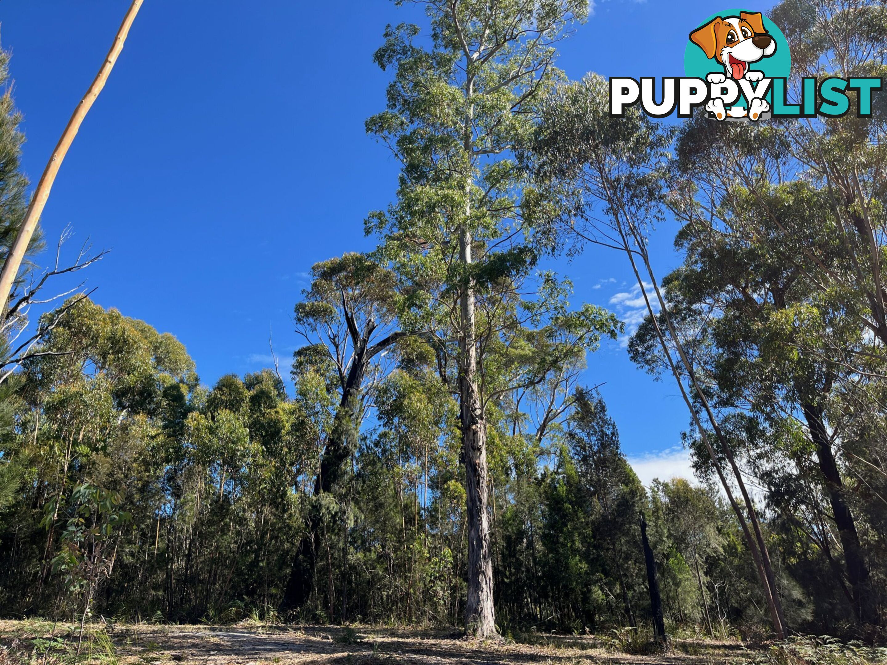 33 Upper Scamander Road SCAMANDER TAS 7215
