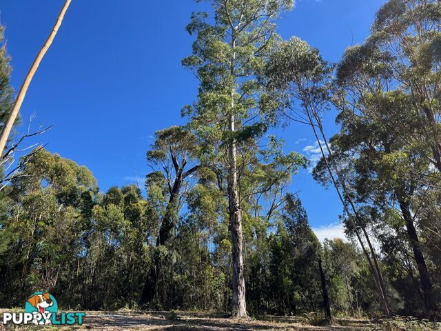 33 Upper Scamander Road SCAMANDER TAS 7215