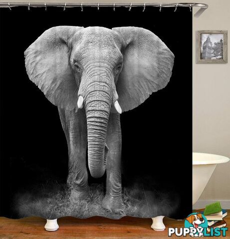 Black And White Elephant Photoshoot Shower Curtain - Curtain - 7427046030687